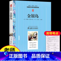 [正版]金银岛书 小学生课外阅读书籍三四五六年级必读经典书目原著青少年版3-4-5-6年级语文名著儿童文学故事书6-12