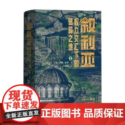 叙利亚 权力交汇下的破碎之地 马修·雷伊 著 历史