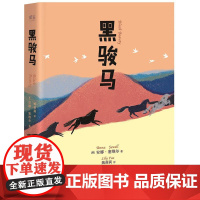 黑骏马 中文分级阅读K4 亲近母语系列 9-10岁亲近母语系列儿童文学 四年级小学生课外阅读书籍必读经典书目少儿读物 果