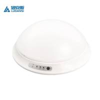 洛安斯 LED应急吸顶灯 12W 个