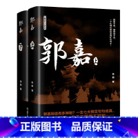 郭嘉 上下册 [正版]郭嘉上下 全2册 长篇历史小说系列 张前 著 盛元文溯(辽宁)传媒有限公司出版社 97872051