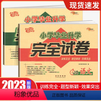 2本套装 小学升初中 [正版]2023小学毕业升学完全试卷语文数学英语名校一线创新试卷训练完全题型新颖小升初小学生冲刺重