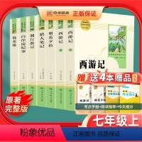 [七上必读+选读]全套7本 [正版]全套7本 朝花夕拾西游记七年级上册必读书鲁迅原著猎人笔记白洋淀纪事镜花缘初中生初一上