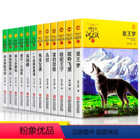 沈石溪动物小说12册 [正版]老师狼王梦沈石溪动物小说系列 品藏书系全套8-10-12-15周岁儿童文学三四五六年级中小