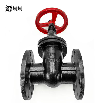 洋蝲蝲 法兰阀门 DN100 单位:个