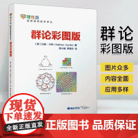 群论彩图版 内森 卡特 郭小强 罗翠玲 初级课程 观察魔方 晶体学 数字群 代数定义 青少年数列微积分解析几何数学建模趣
