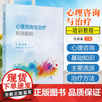 心理咨询与治疗培训教程(创新教材) 人民卫生出版社9787117380072