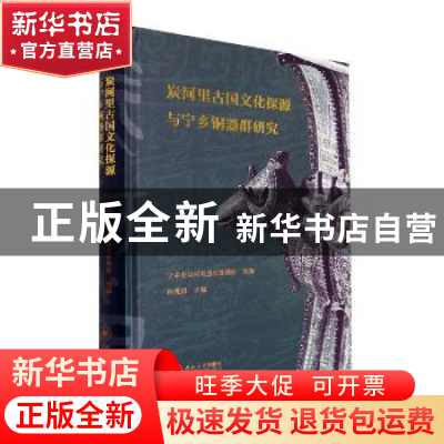 正版 炭河里古国文化探源与宁乡铜器群研究 向桃初主编 中南大学