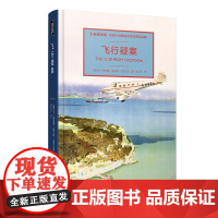 飞行疑案