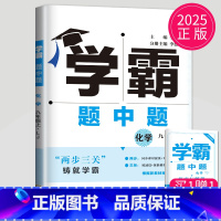 化学 九年级上 鲁教版 九年级/初中三年级 [正版]2025学霸题中题九年级下册上册数学物理英语化学苏科版译林版苏教人教