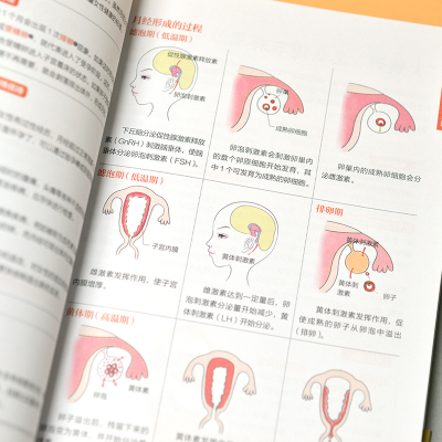 正版新书]图解女性医学速查全书 全新升级版于雅婷编著;凤凰含