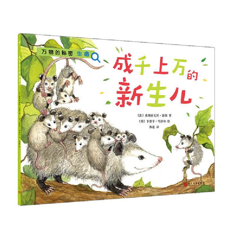 正版新书]万物的秘密.自然•成千上万的新生儿:万物的秘密.生命