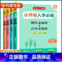 4本全套[小升初 语数英] 小学升初中 [正版]2023新版小升初入学必刷小学生语文满分作文现代文古诗文阅读数学易错题英