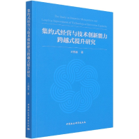 音像集约式经营与技术创新能力跨越式提升研究王鹤春 著