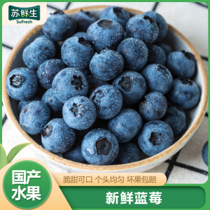 SF快递[苏鲜生] 新鲜辽宁蓝莓 个头饱满 4盒 单果22mm+ 125g/盒 口感甜蜜