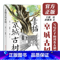 [正版]素描京城古树 王晨绘孙惠英文地域京味儿文化科普古树名木知识延伸北京园林生态广东人民出版社
