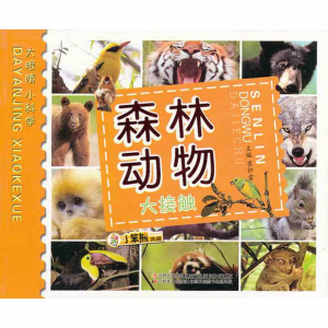 正版新书]小笨熊·大眼睛小科学:森林动物大接触 [3-6岁]崔钟雷9