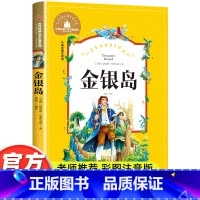 金银岛 [正版]金银岛彩图注音版史蒂文森原著书小学生课外阅读书籍一二年级三四年级课外书必读世界经典儿童文学小说名著故事书