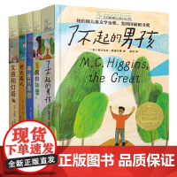 女孩和灯塔+了不起的男孩+暑假的秘密+神秘的来信+长大成人 共5册