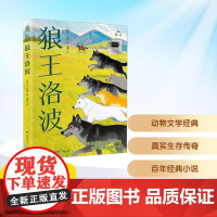 狼王洛波 2025年暑假百班千人五年级 小学生10-11岁阅读课外书经典儿童文学湖南少年儿童出版社新华正版书籍