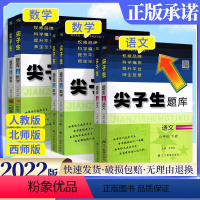 语文+数学(人教版) 六年级下 [正版]尖子生题库六年级下册上册数学语文全套人教版北师大西师版小学生同步训练课时优化作业