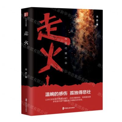 [N]走火-9787520538435