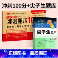 [尖题+期末冲刺100分]语文2本◆人教版 一年级下 [正版]2024春尖子生题库二三年级四五年级六一年级上下册数学语文
