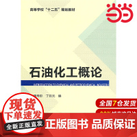 石油化工概论.魏寿彭、丁巨元 编9787122114464