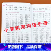 小学实用词语手册 [正版]小学语文实用词语手册1-6年级上下册通用专项训练词语积累训练大全一二三四五六年级通用版常用成语