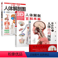 [正版]3本套装全新3D人体解剖图 人体解剖学彩色学图谱人体解剖学入门书西医解剖学外科医生用书实物图谱解剖学医疗用书医
