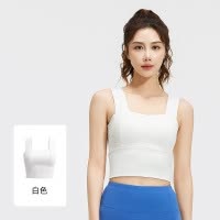 新款运动内衣美背防震聚拢定型固定胸垫健身文胸