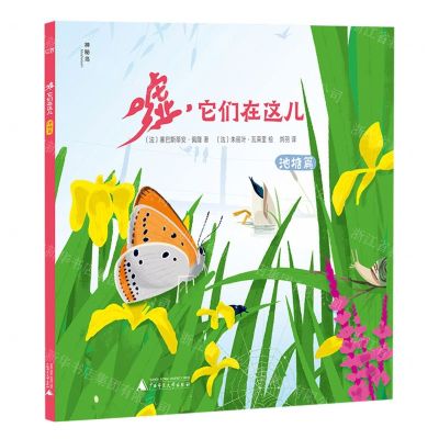 [N]嘘它们在这儿(池塘篇)-9787559853561