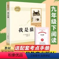 我是猫[赠考点手册] [正版]儒林外史+简爱书籍原著完整版无删减人民教育出版社初中生九年级下册课外书籍必读世界文学名