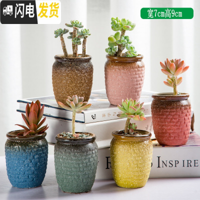 三维工匠多肉花盆陶瓷复古粗陶透气大口径创意个性老桩盆绿植 缤纷小老桩(6个) 大花盆容器