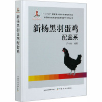新杨黑羽蛋鸡配套系