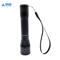 洛安斯 袖珍防爆工作灯 BAD202C 个