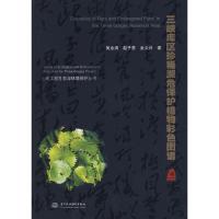 正版新书]三峡库区珍稀濒危保护植物彩色图谱吴金清978750844230