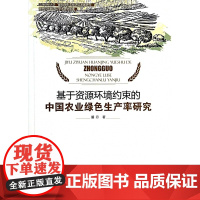 基于资源环境约束的中国农业绿色生产率研究