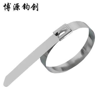 博源钧创 304不锈钢扎带 7.9*200MM 根