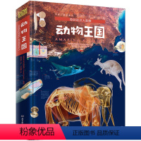 [正版]howitworks 动物王国/奇妙知识大图解儿童科普高端百科大全幼儿海洋世界知识DK小学生青少年少儿版全书课