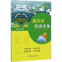 音像新农村经济实务王治文 主编