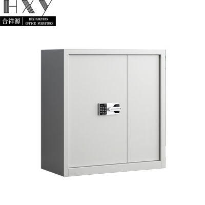 合祥源 无斗单节保密柜 智能密码锁 900*420*940mm QX-WJG150 组