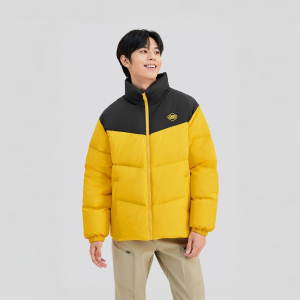 斯凯奇(Skechers)男女同款梭织休闲防寒羽绒服新款时尚运动保暖立领外套L324U104-0018 ZP