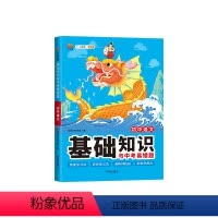 初中语文[基础知识与中考易错题] 初中通用 [正版]初中语文基础知识与中考易错题大全七八九年级语文初一初二初三总复习资料