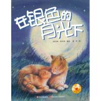 正版新书]在银色的月光下(英)科林·麦考恩|译者:查宇97875365480