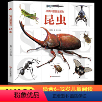 经典科普图鉴-昆虫 [正版]经典科普图鉴系列昆虫百科全书 3-5-6岁幼儿童小中大班昆虫大百科书籍小学生一二三四年级科普