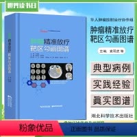 [正版] 肿瘤精准放疗靶区勾画图谱 主编袁双虎 宋启斌 肿瘤疾病临床案例诊治教程 内科学参考书籍 湖北科学技术出版社9