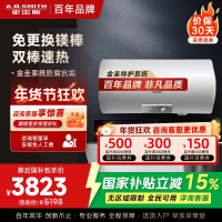 AO史密斯100升电热水器金圭内胆免更换镁棒E100MDG