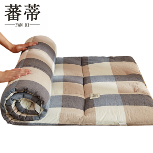 蕃蒂褥子5斤张