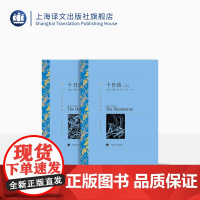 十日谈 卜伽丘著 方平译 译文名著精选 世界名著 意大利文学 名著经典读物 上海译文出版社 正版